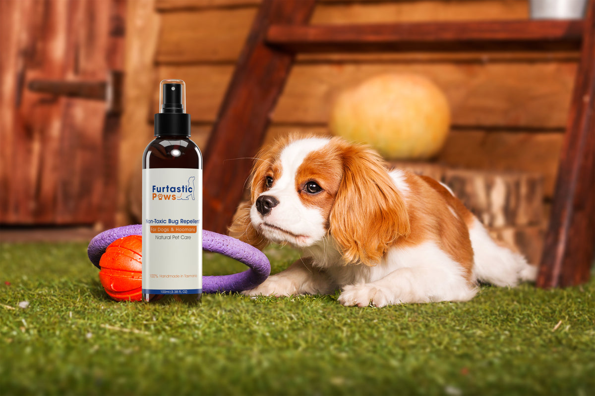 Natural pet outlet repellent